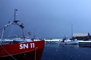 Gräsgårds hamn, Öland. Snöyra. Vinter